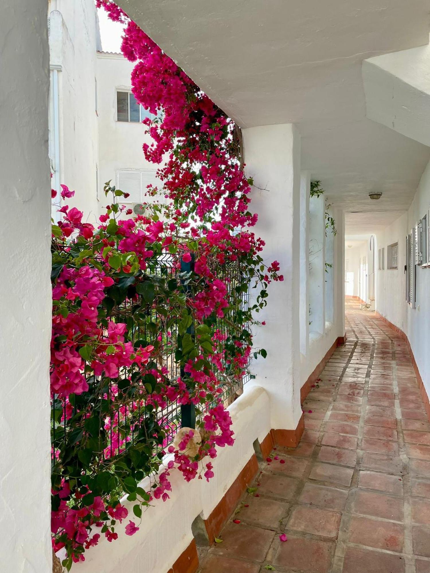 Ferienwohnung Sun Castle Fuengirola Exterior foto